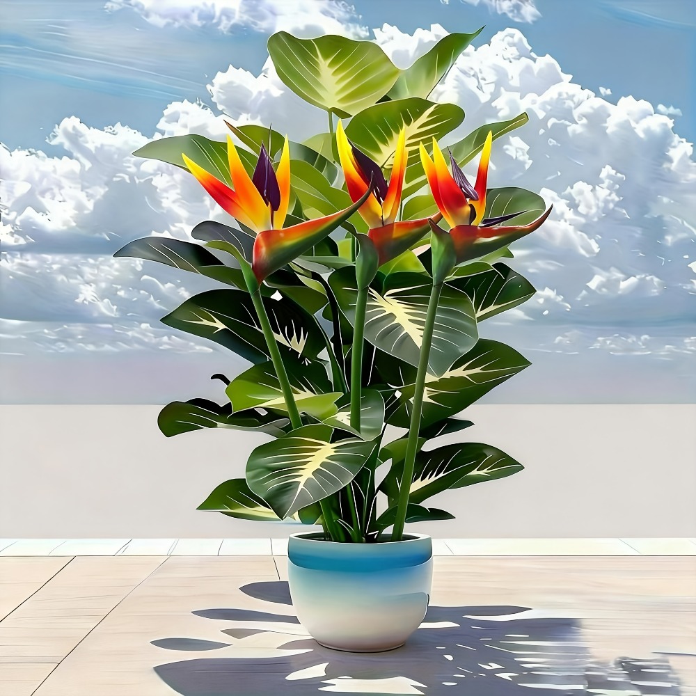 Artificial Bird of Paradise an - Home Office Layout 评论和价格